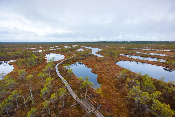 Kemeri träsket landskap — Stockfoto