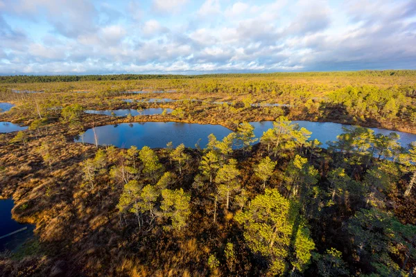 Paisagem pântano Kemeri — Fotografia de Stock