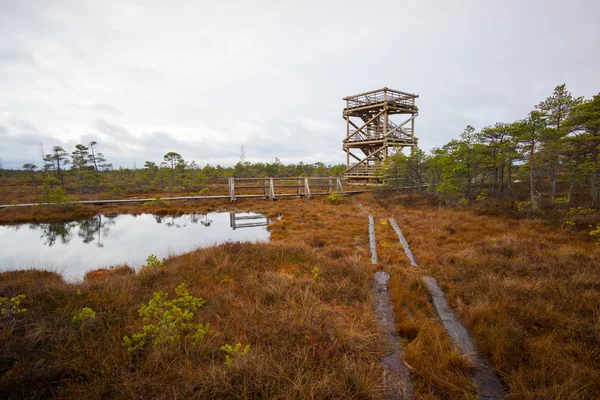 Kemeri träsket landskap — Stockfoto