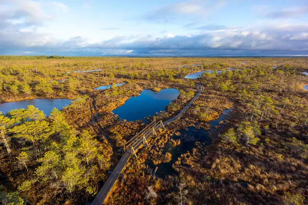 Kemeri träsket landskap — Stockfoto