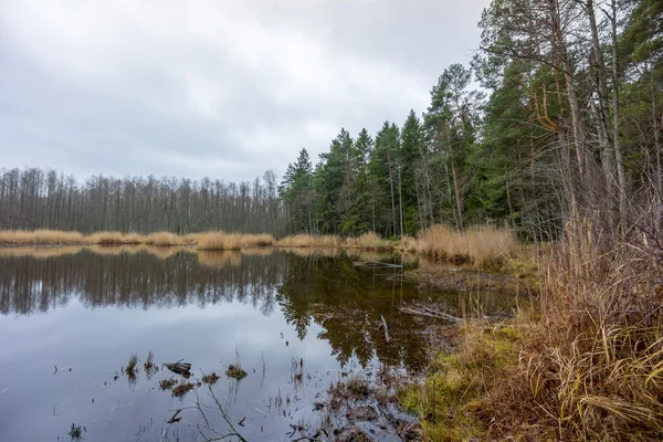 Lago Slokas nella regione di Kemeri — Foto Stock