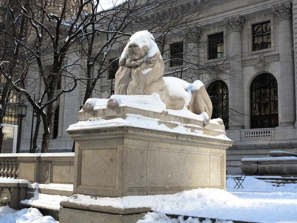 New York veřejná knihovna Lev v zimě — Stock fotografie