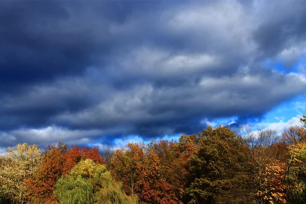 Δέντρα και σύννεφα καταιγίδας — Φωτογραφία Αρχείου