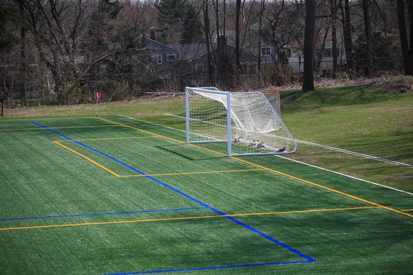 Campo de fútbol con objetivo — Foto de Stock