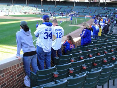Chicago Cubs Fans clipart