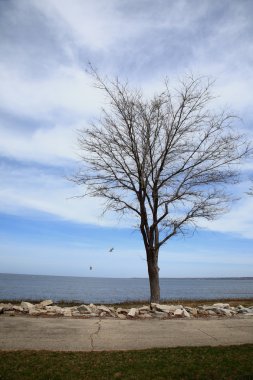 Göl ve eski kayalık yol