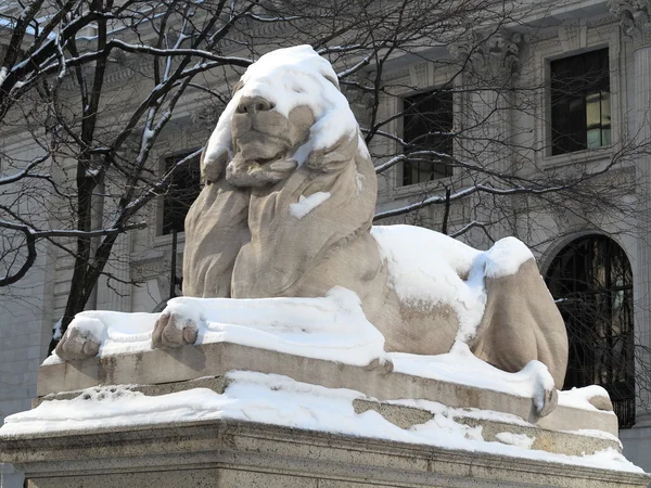 Biblioteca Pública de Nueva York León Imágenes de stock libres de derechos