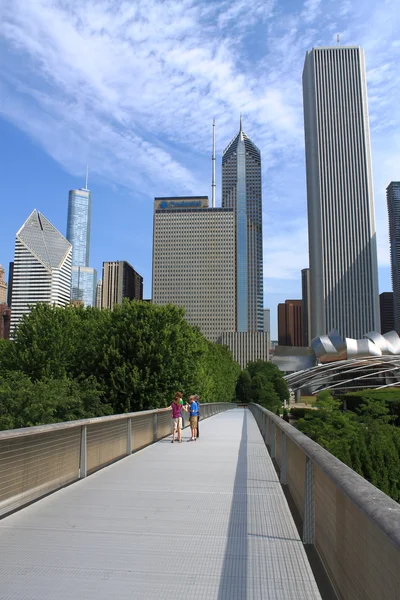 芝加哥-尼科尔斯桥梁 — 图库照片