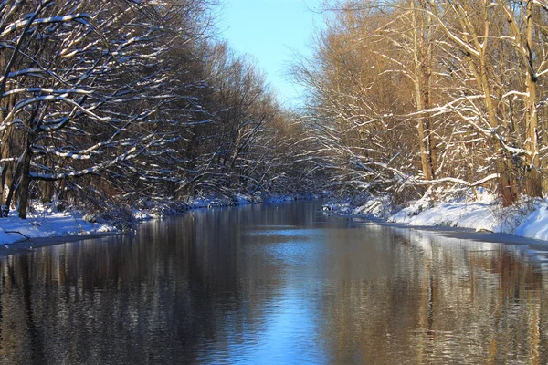 Winter rivier en Forest — Stockfoto