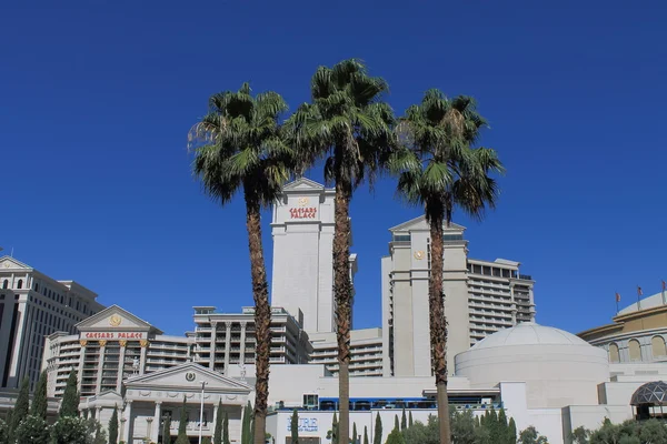 Caesars Palace - Las Vegas — Foto de Stock