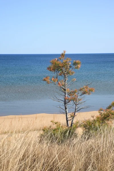 Lago Superiore Spiaggia — Foto Stock