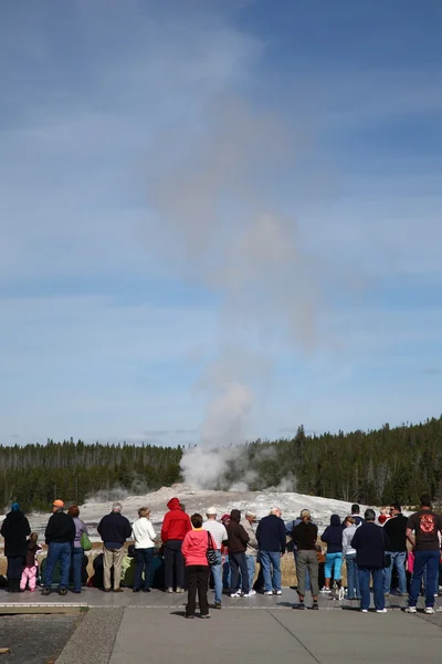 Old Faithful - Yellowstone National Parl — Stock Photo, Image