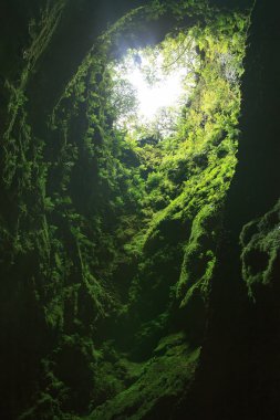 Algar yapmak Carvao mağara Terceira adada Azores