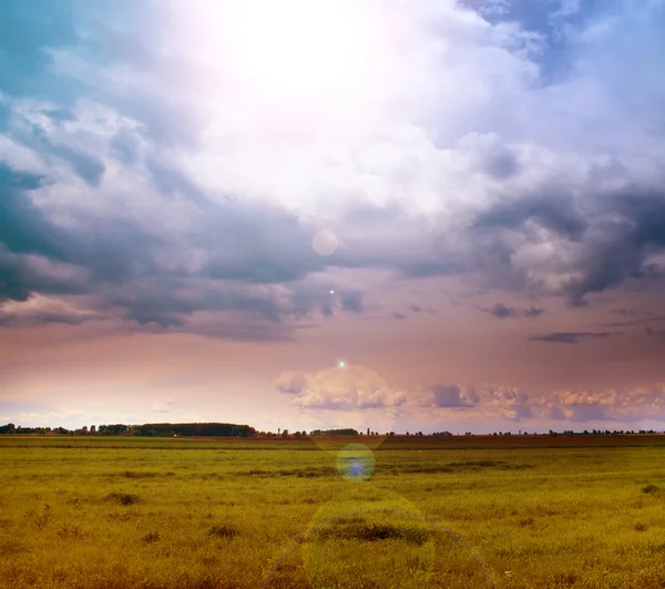 Landschaft aus grünem Feld und Sonne am Himmel — Stockfoto