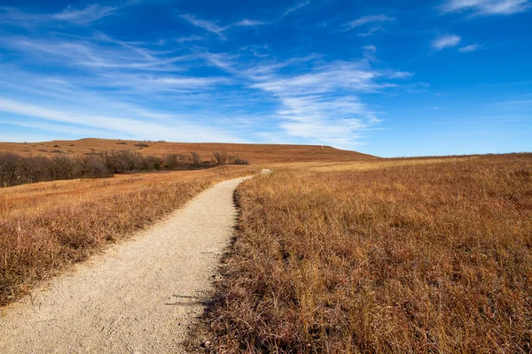 Pathway into the Prairie — Stock Photo, Image