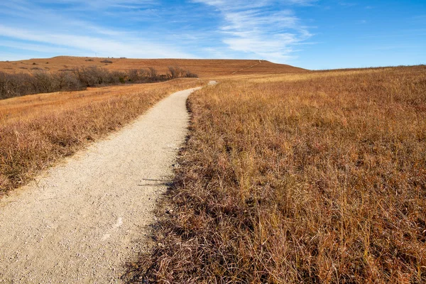 Pathway into the Prairie — Stock Photo, Image