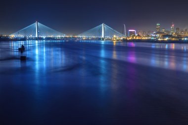 St. Louis manzarası ile köprüler