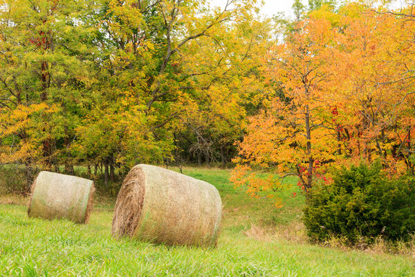 Hay Field during the Fall 