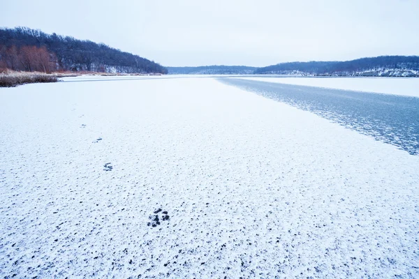 Snowy Footprints Tracks — Stock Photo, Image