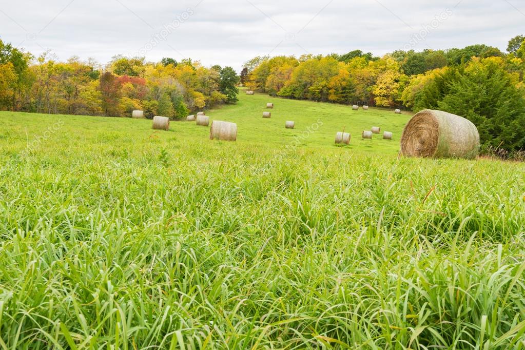 Fall Time Hay Field