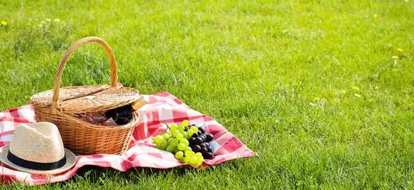 Picnic setting on meadow — Stock Photo, Image