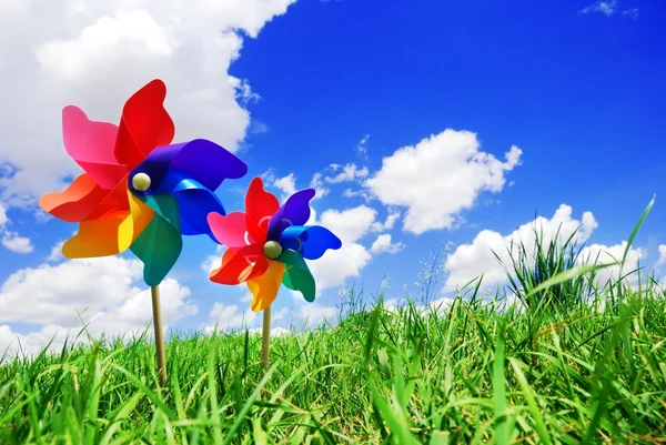 Pinwheel on the meadow — Stock Photo, Image