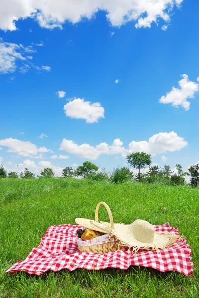 Picnic. Imagen de stock