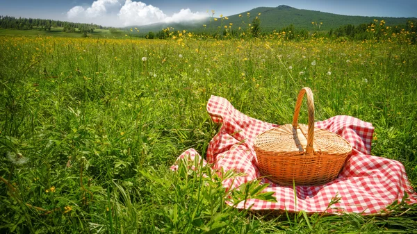 Picnic — Stock Photo, Image