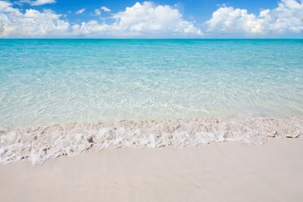 Tropisk strand på soliga sommardag — Stockfoto