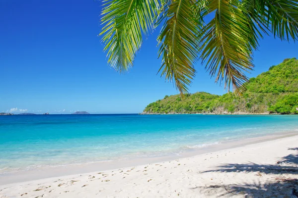 Plage de sable fin en été journée ensoleillée . — Photo