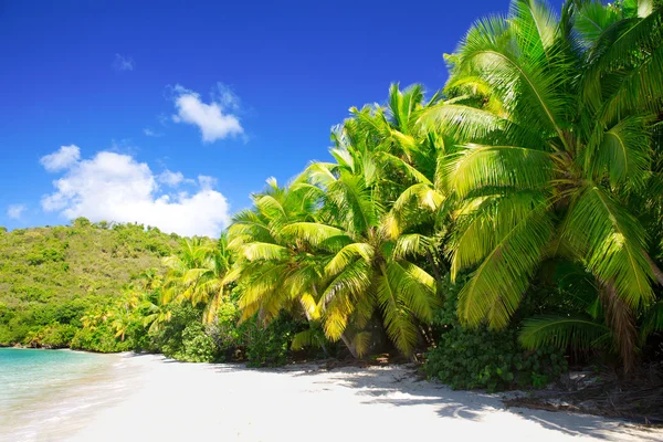 Plaja tropicală în ziua însorită de vară — Fotografie, imagine de stoc