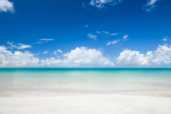 Tropical  beach at summer sunny day. — Stock Photo, Image