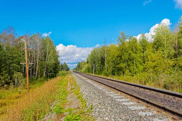 Railway in forest area — Stock Photo, Image