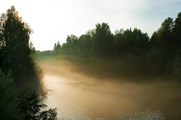 Nebbia sul fiume — Foto Stock