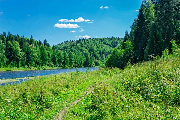 River in woodland — Stock Photo, Image