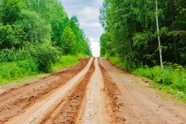 Grusväg i skogen — Stockfoto