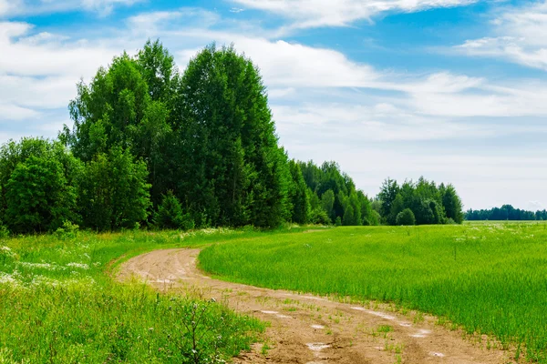 Camino de tierra en el campo — Foto de Stock