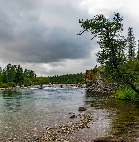 Norra älven rinner bland klipporna i ett skogsområde — Stockfoto