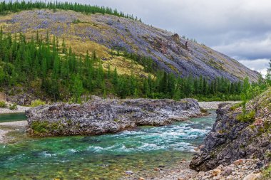 Bir yaz günü, kayaların arasından akan temiz bir kuzey nehri.