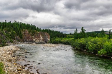 Bir yaz günü, kayaların arasından akan temiz bir kuzey nehri.