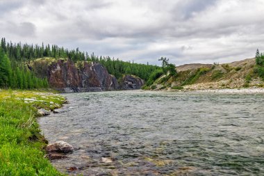 Bir yaz günü, kayaların arasından akan temiz bir kuzey nehri.