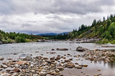 Bir yaz günü, kayaların arasından akan temiz bir kuzey nehri.