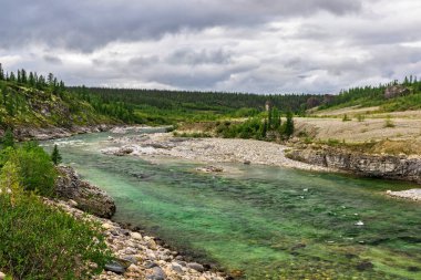 Bir yaz günü, kayaların arasından akan temiz bir kuzey nehri.