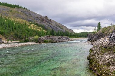 Bir yaz günü, kayaların arasından akan temiz bir kuzey nehri.