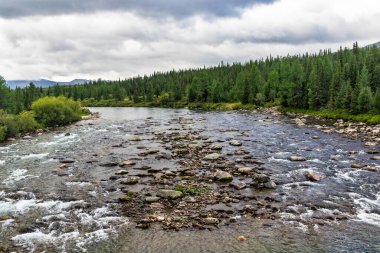 Bir yaz günü, kayaların arasından akan temiz bir kuzey nehri.