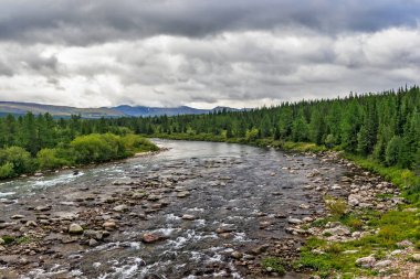Bir yaz günü, kayaların arasından akan temiz bir kuzey nehri.
