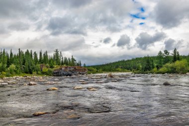 Bir yaz günü, kayaların arasından akan temiz bir kuzey nehri.