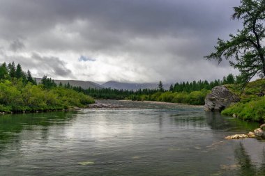 Bir yaz günü, kayaların arasından akan temiz bir kuzey nehri.