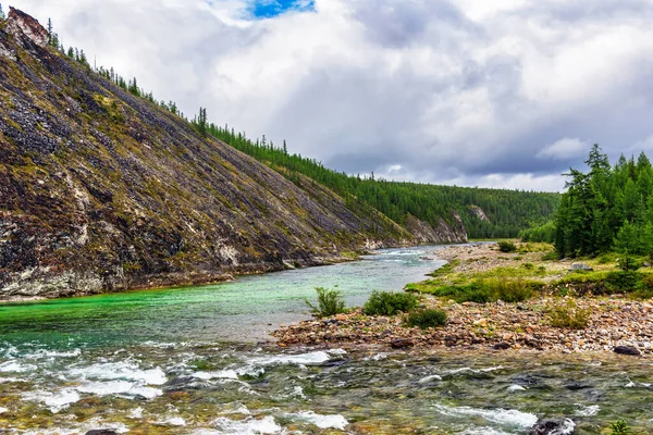 Bir Yaz Günü Kayaların Arasından Akan Temiz Bir Kuzey Nehri — Stok fotoğraf