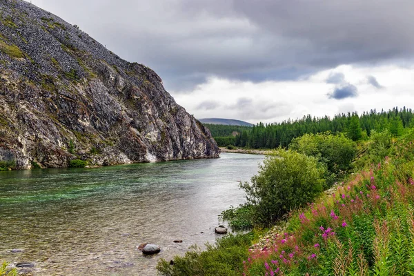 Čistá Severní Řeka Tekoucí Mezi Skalami Lesní Oblasti Letního Dne — Stock fotografie